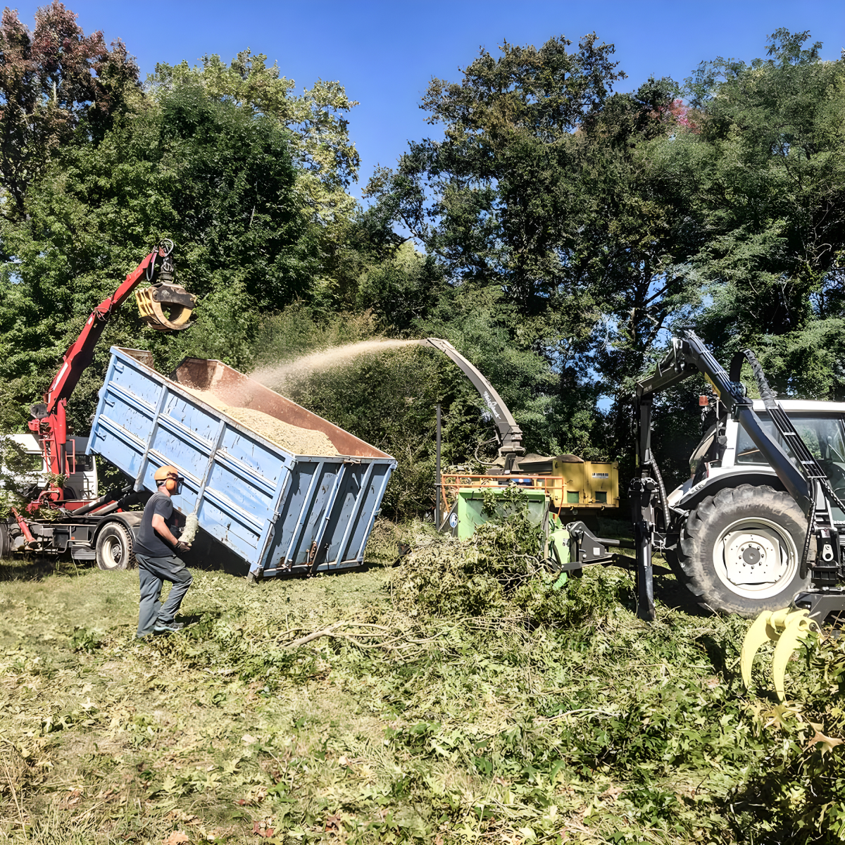 La Brigade Des Arbres Elagage Peyrehorade Abattage Et Demontage