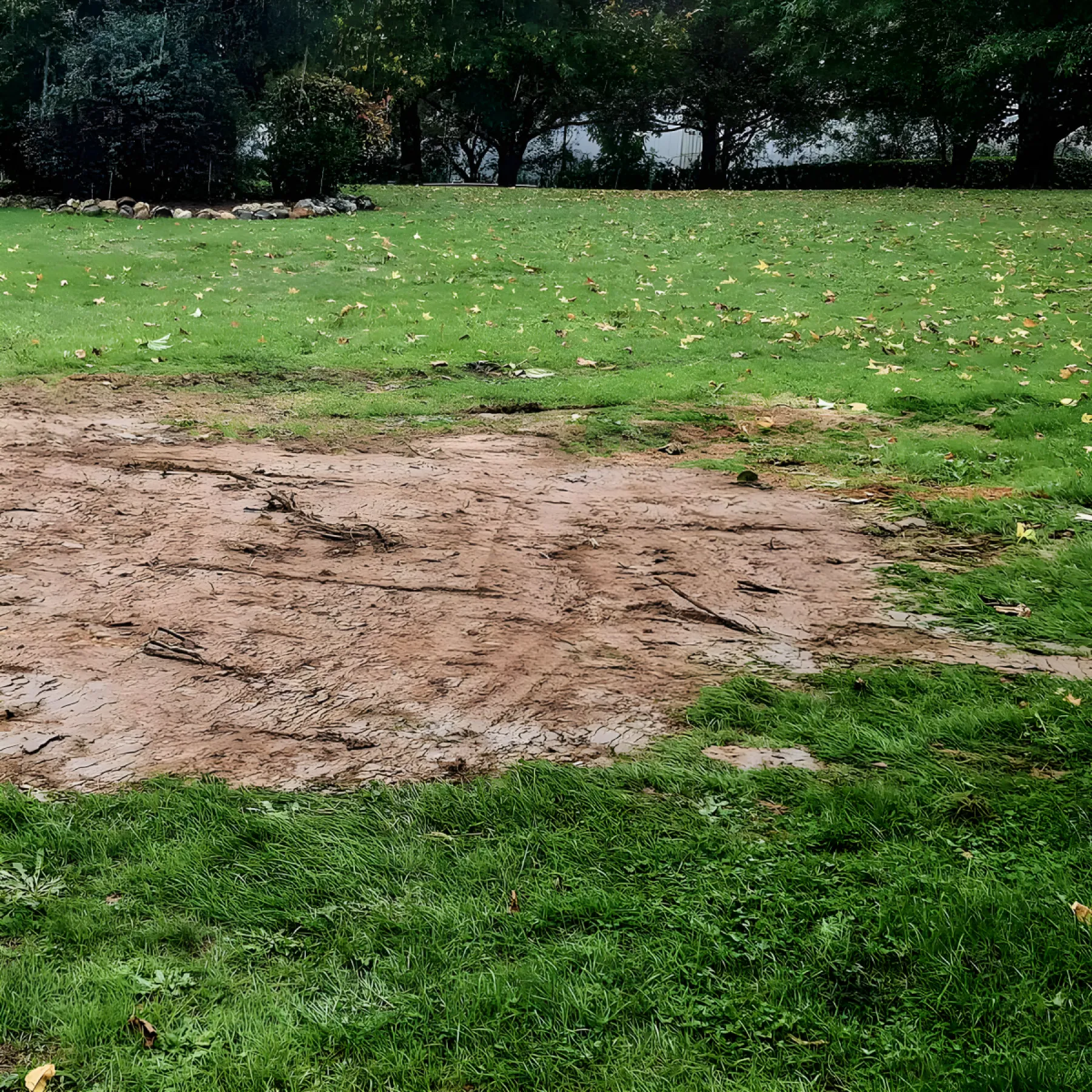 La Brigade Des Arbres Elagage Peyrehorade La Brigade Des Arbres Elagage Peyrehorade Rognage Et Dessouchage 1 La Brigade Des Arbres Elagage Peyrehorade La Brigade Des Arbres Elagage Peyrehorade Rognage Et Dessouchage 1
