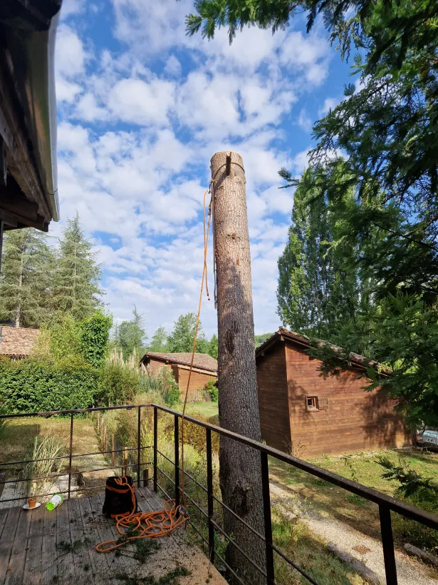 La Brigade Des Arbres Elagage Peyrehorade Abattage D Un Cedre Apres
