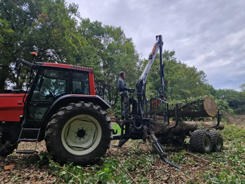 La Brigade Des Arbres Elagage Peyrehorade Travauxforestieravecdebardage